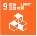 SDG 9